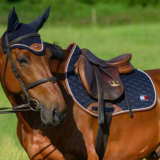 Tommy Hilfiger Princeton Set