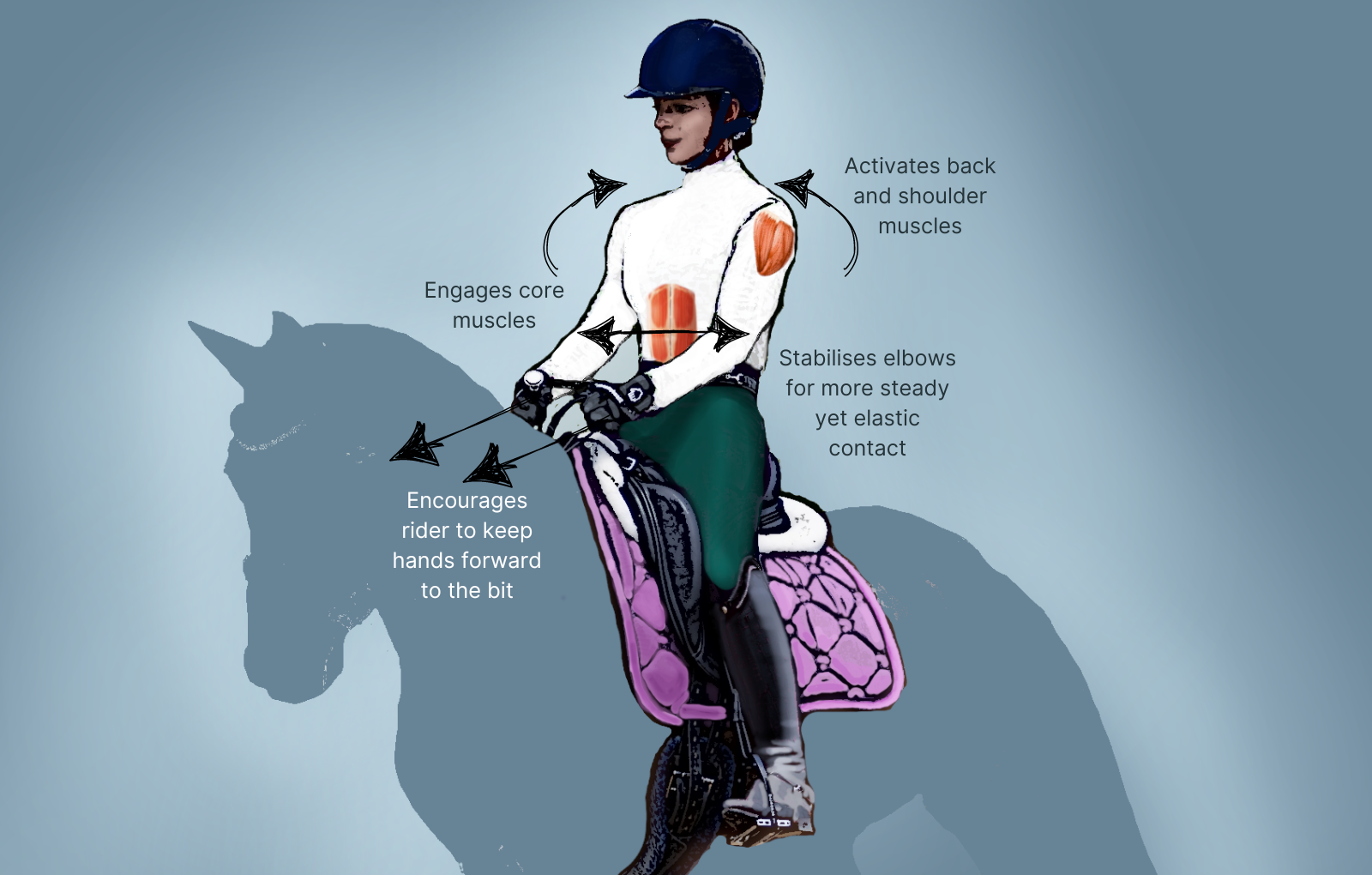 SteadyHands Riding Gloves