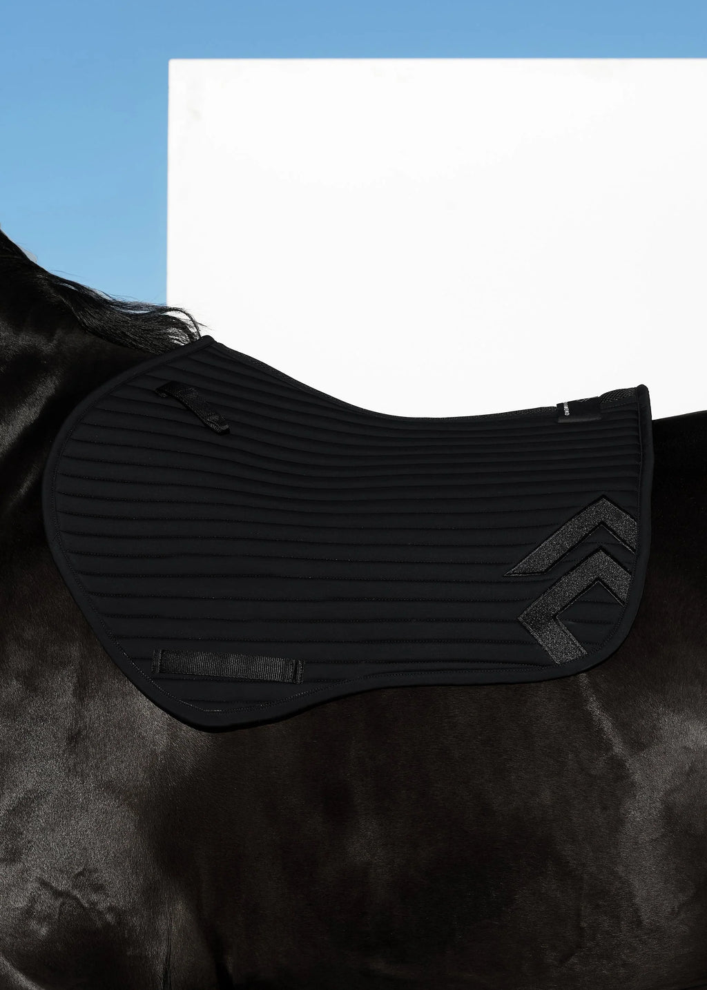 BLACK CORE SADDLE CLOTH
