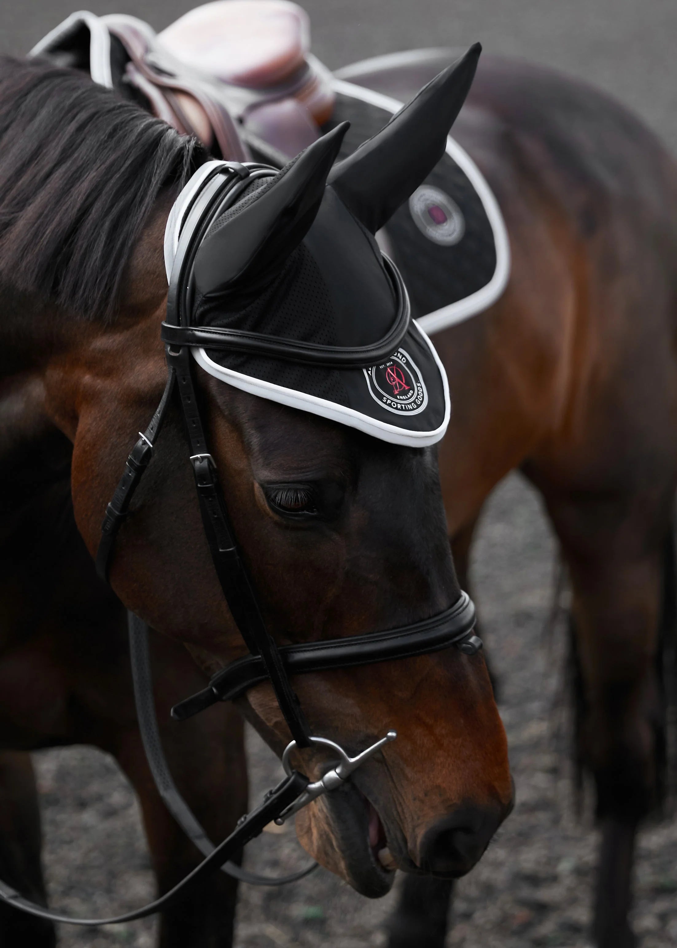 BLACK SPORTING GOODS SADDLE CLOTH SET - FULL