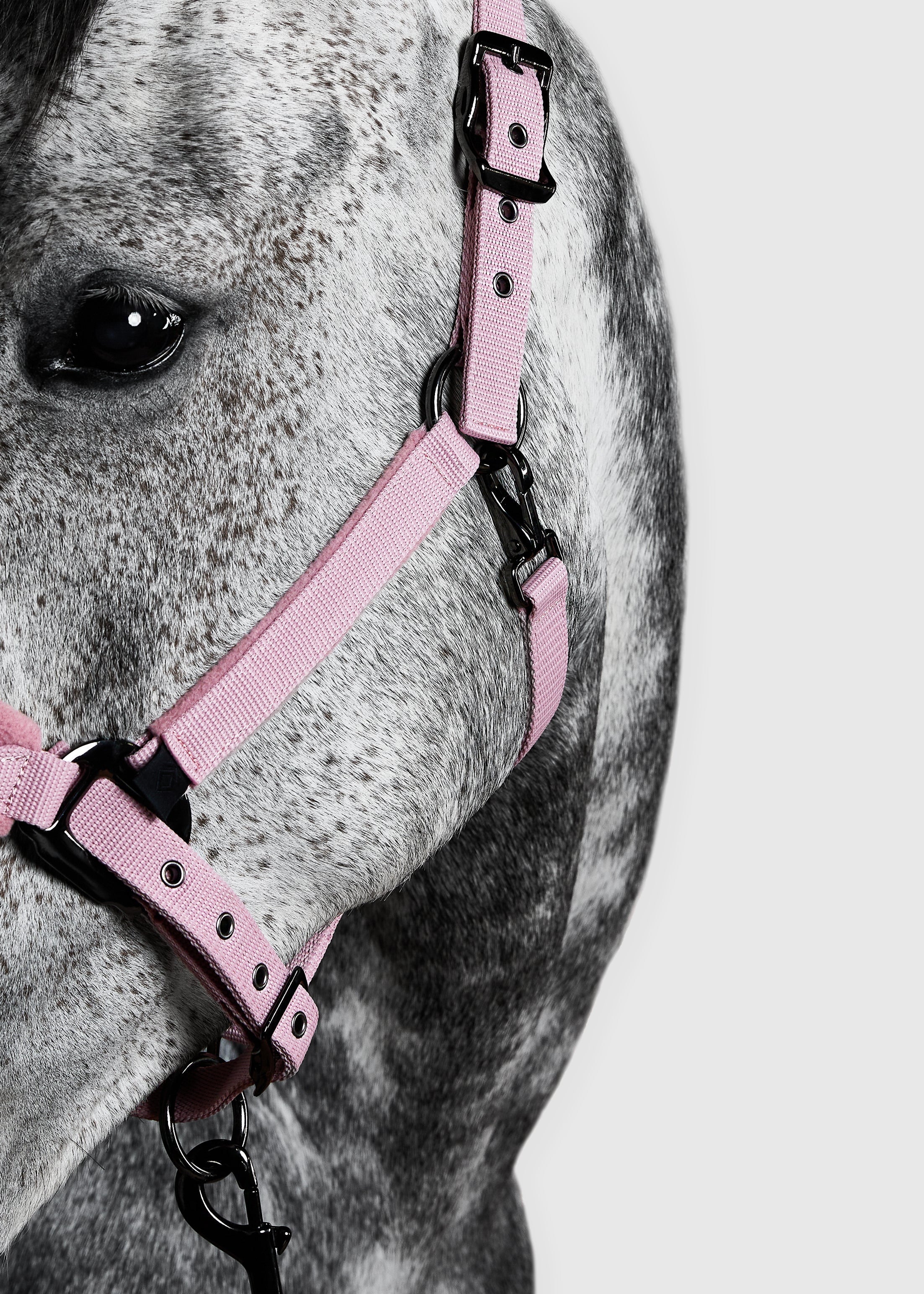 PANEL HEAD COLLAR - FULL