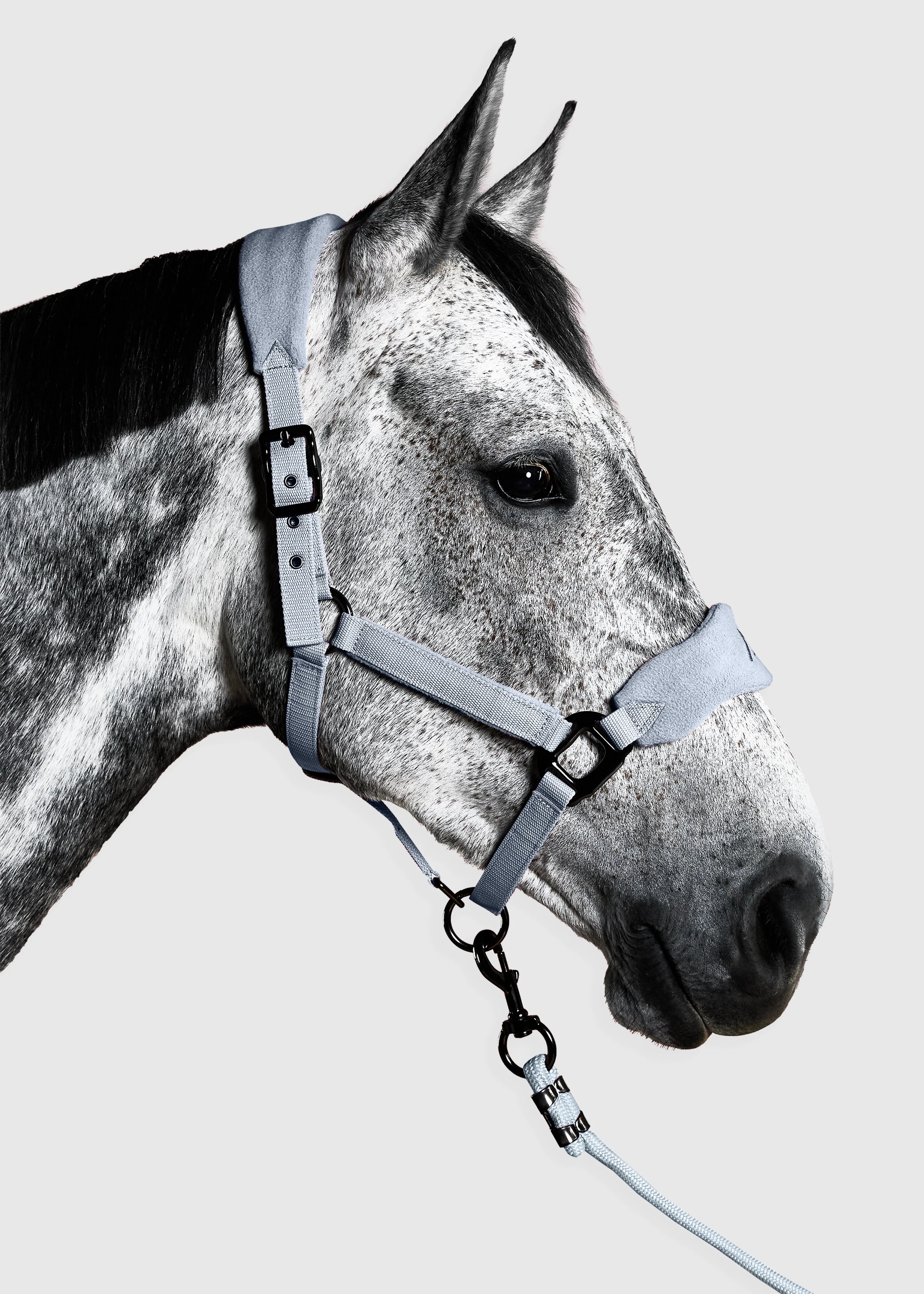 PANEL HEAD COLLAR - FULL