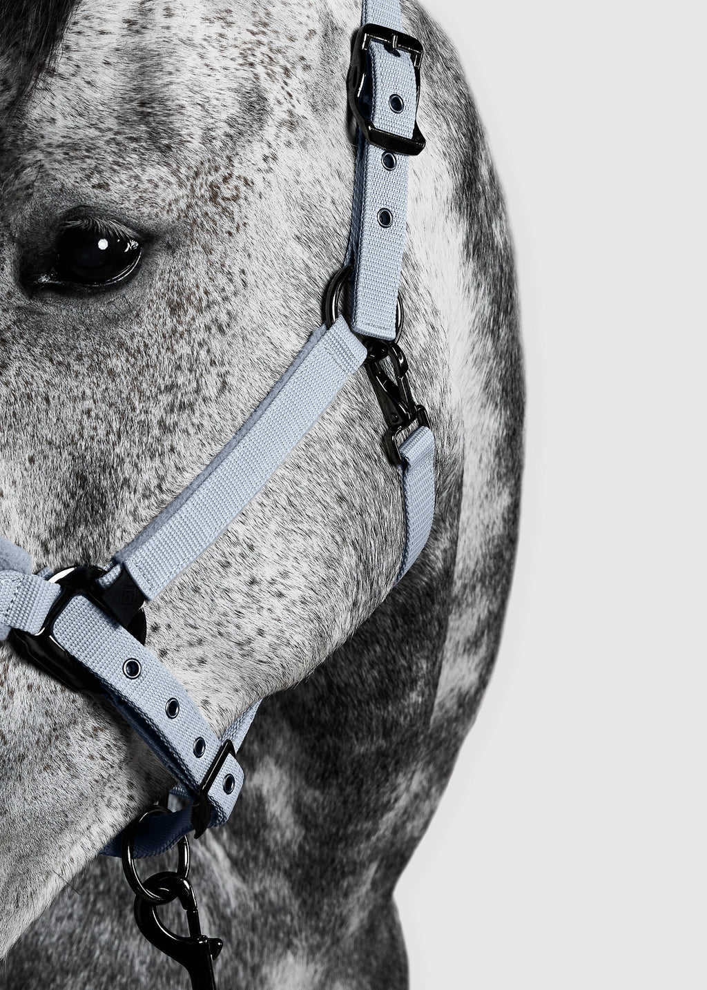 PANEL HEAD COLLAR - FULL