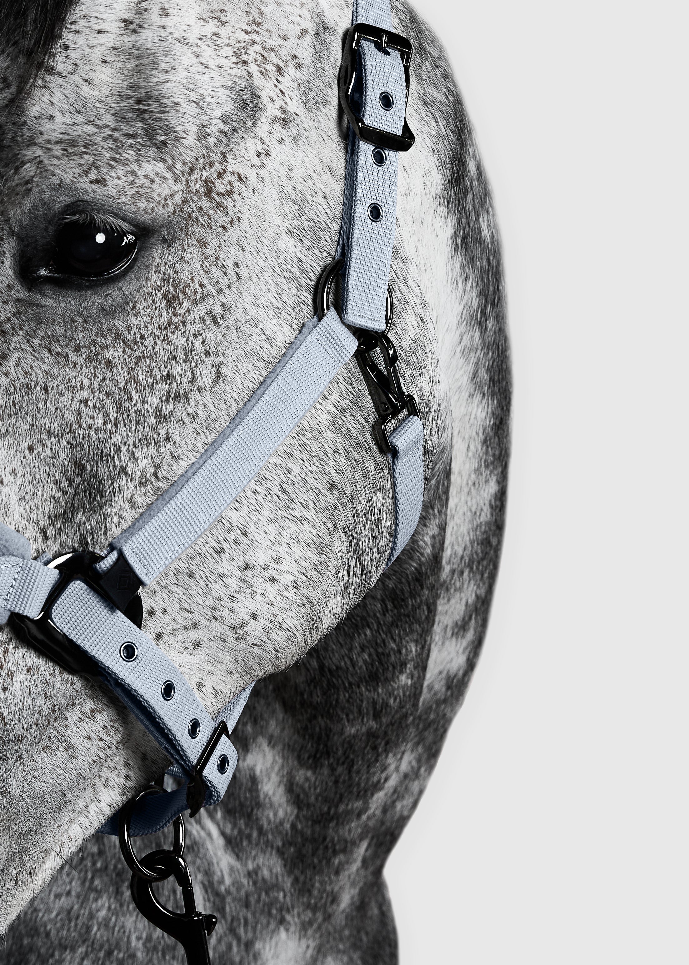 PANEL HEAD COLLAR - FULL