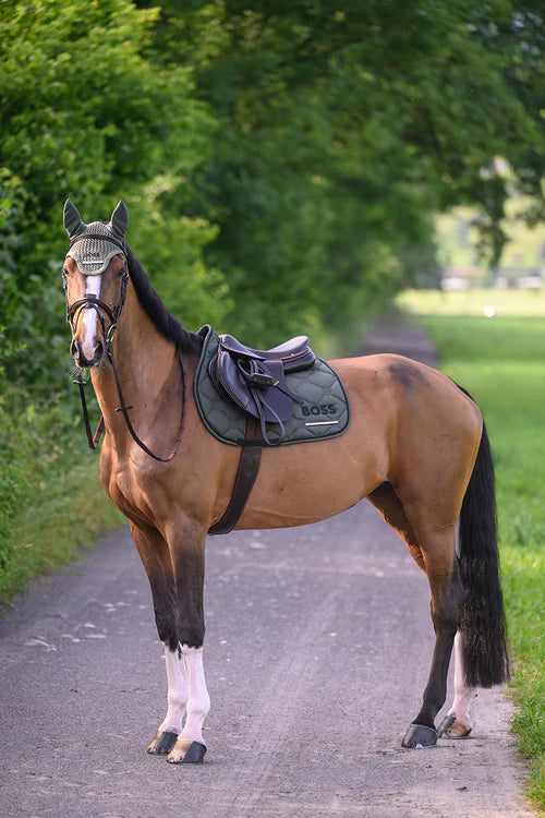CHELTENHAM JUMPING SADDLE PAD PINE GROVE