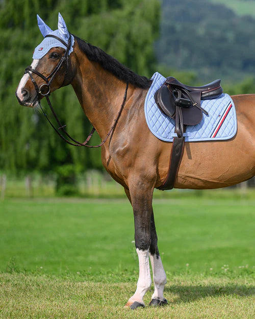 Stanford Jumping Saddlepad & Lexington Fly Hood Set SWEET BLUE (Full)