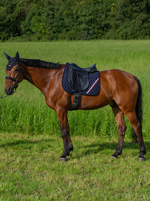 Stanford Dressage Saddle pad DESERT SKY