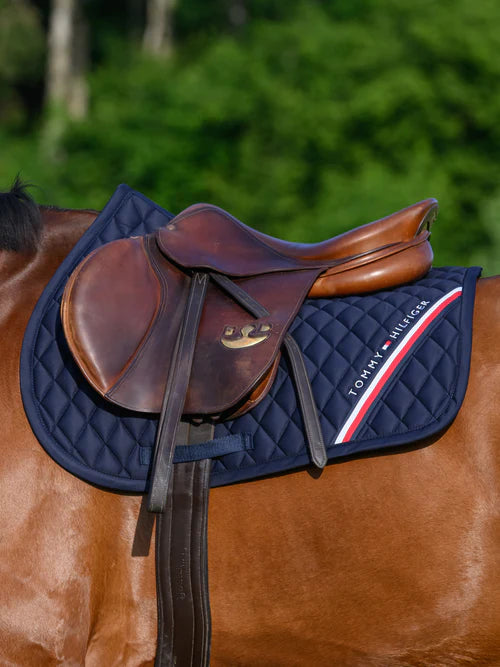 Stanford Jumping Saddlepad & Lexington fly Hood DESERT SKY