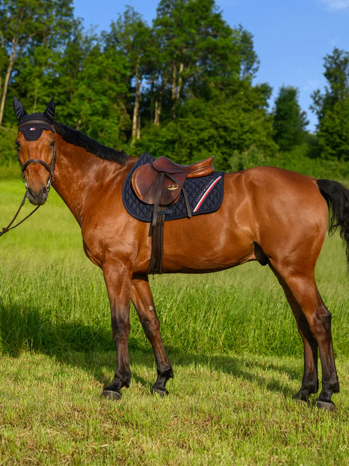 Stanford Jumping Saddlepad & Lexington fly Hood DESERT SKY