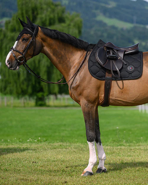 Liberty Jumping Saddle Pad & Fly Hood - BLACK