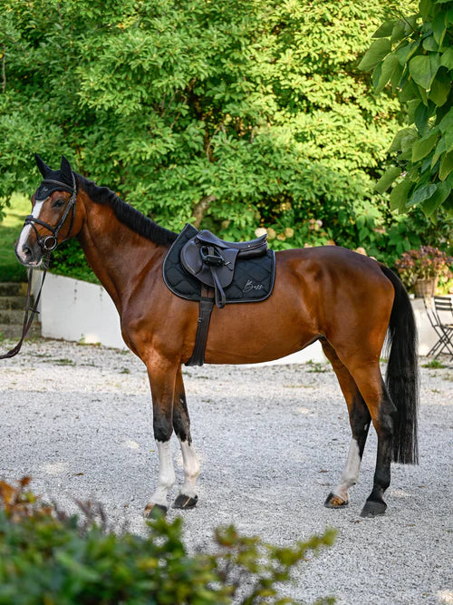 JUMP SADDLE PAD GLITTER & EAR VEIL BLACK