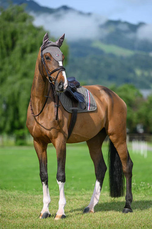 Stanford Jumping Saddlepad & Lexington Fly Hood Set ASH