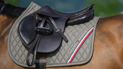 Stanford Jumping Saddlepad & Lexington Fly Hood Set ASH